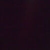 taelor_schaffer
